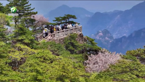 “五一”假期黄山风景区游客接待量创历史同期新高