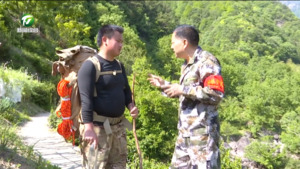 王山青：守护青山心不改 载誉归来续征程