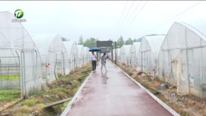 我市普降大雨  各地积极应对