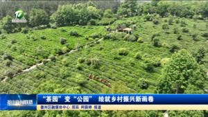 简讯：“茶园”变“公园” 绘就乡村振兴新画卷