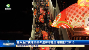 简讯：徽州鱼灯获评2025年度IP非遗文博赛道TOP10