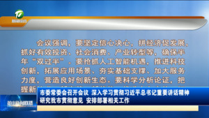 市委常委会召开会议 深入学习贯彻习近平总书记重要讲话精神 研究我市贯彻意见 安排部署相关工作