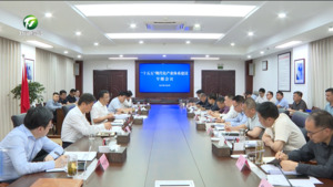 丁纯在“十五五”现代化产业体系建设专题会上强调 找准方向 科学谋划  加快构建现代化产业体系
