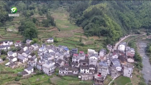 休宁古楼坦村：“红色茶馆”激活乡村治理