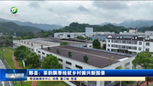 黟县：茶韵飘香绘就乡村振兴新图景