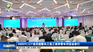 2025RCEP成员国暨长三角工商界青年对话会举行