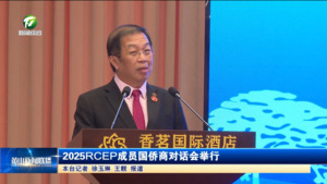 2025RCEP成员国侨商对话会举行