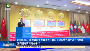 2025RCEP地方政府暨友城合作（黄山）论坛特色农产品合作发展暨跨境电商对话会举行