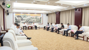 积极探索新领域新场景应用合作 丁纯与戴海兵举行工作会谈
