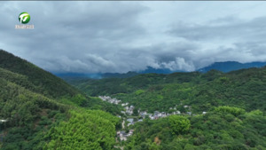 简讯：歙县：高山雨后生态美