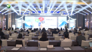 “顶峰相见”黄山征文大赛颁奖活动暨黄山IP生态大会举办