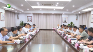 丁纯在黄山市茶产业发展座谈会·新安茶会上强调 抢抓发展机遇 强化责任担当 向绿向新推动黄山茶产业高质量发展