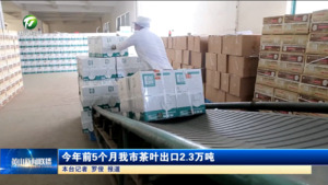 简讯：今年前5个月我市茶叶出口2.3万吨