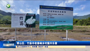 黄山区：竹荪丰收奏响乡村振兴乐章