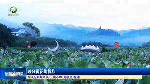 简讯：映日荷花别样红