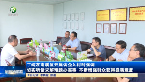 丁纯在屯溪区开展访企入村时强调 切实听诉求解难题办实事 不断增强群众获得感满意度