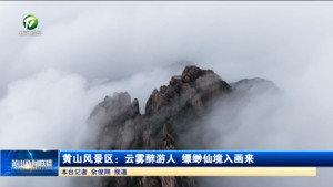 黄山风景区：云雾醉游人缥缈仙境入画来