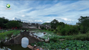 徽州区：日赏荷夜看灯 多彩文旅迎客来