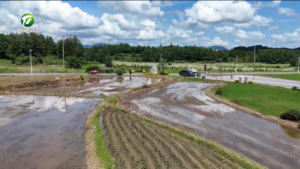 黟县：精耕细作改良土壤  筑牢粮食安全根基