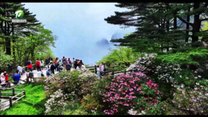 黄山风景区入选首批《“零碳”目的地·先锋榜单》
