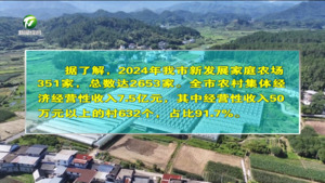 采摘游激活乡村振兴“甜蜜经济”