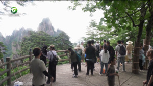 暑期黄山清凉相伴 亲子共赏自然盛景