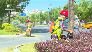 屯溪区：“护绿行动”为城市绿植“解渴降温”
