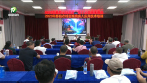 黟县：技能培训赋能，助力残疾人就业增收
