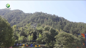 简讯 屯溪区：林业有害生物防治守护绿色生态
