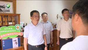 丁纯赴黟县调研文旅融合工作时强调 突出文旅融合 创新业态场景 打造全域旅游发展先行区示范区