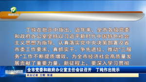 全市党委和政府办公室主任会议召开  丁纯作出批示