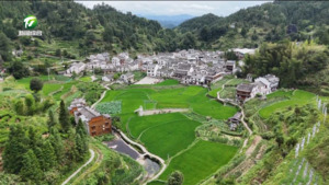 【比发展 讲奉献 重实干】休宁：加快推进项目建设 促进乡村旅游发展