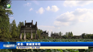 歙县：棠樾夏荷艳
