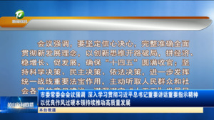 市委常委会会议强调 深入学习贯彻习近平总书记重要讲话重要指示精神 以优良作风过硬本领持续推动高质量发展