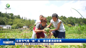 简讯：立秋节气啃“秋”瓜  清凉暑消迎秋爽