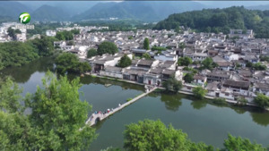 黟县：古村写生热