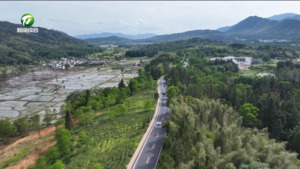 黟县荣膺全国自驾游标杆县 绘就全域旅游新画卷