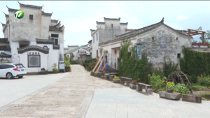 丁纯赴黄山区开展访企入村时强调 大力推动农文旅康融合发展 加快建设全域旅游发展先行区示范区
