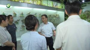 丁纯在祁门县开展巡林调研时强调 守好绿水青山 擦亮生态底色 切实将生态优势转化为发展优势