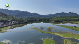 黟县：以河长制促河长治 绘就“水美乡村”新画卷