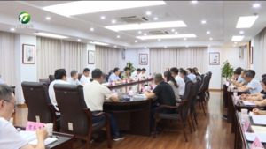 丁纯在文化和旅游深度融合发展座谈会·新安茶会上强调 以创新实干推动文旅深度融合 加快打造全域旅游发展先行区示范区
