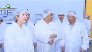 丁纯在调研膜材料产业发展时强调 坚持创新驱动 加快转型升级 推动产业向新而行向高攀登