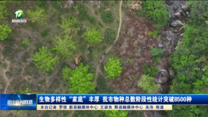 生物多样性“家底”丰厚 我市物种总数阶段性统计突破8500种
