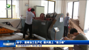 休宁：菌棒加工生产忙 振兴路上“接力棒”