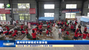 徽州研学解锁成长新体验