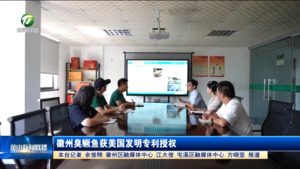徽州臭鳜鱼获美国发明专利授权