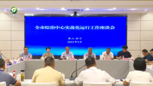 全市综治中心实战化运行工作座谈会召开