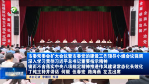 市委常委会扩大会议暨市委党的建设工作领导小组会议强调 深入学习贯彻习近平总书记重要指示精神 锲而不舍落实中央八项规定精神推进作风建设常态化长效化 丁纯主持并讲话 何毅伍春宏路海燕左龙出席
