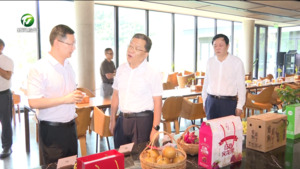 丁纯在调研康养产业发展时强调 发挥资源优势 创新产品业态 全面打响康养黄山特色品牌