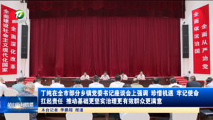 丁纯在全市部分乡镇党委书记座谈会上强调 珍惜机遇 牢记使命 扛起责任 推动基础更坚实治理更有效群众更满意